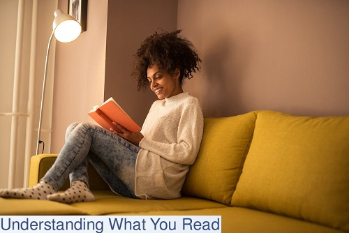 Understanding What You Read. Woman Sitting on Couch Reading a  book